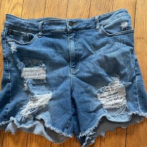 Womens 2xl Judy Blue shorts